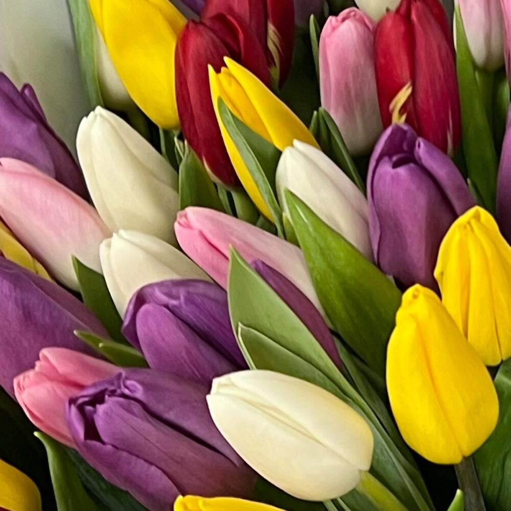 https://content2.flowwow-images.com/data/flowers/1000x1000/72/1677858421_66018672.jpg